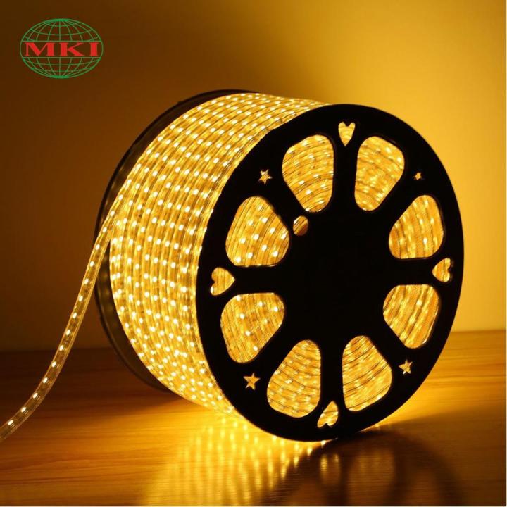 LED Tape Light