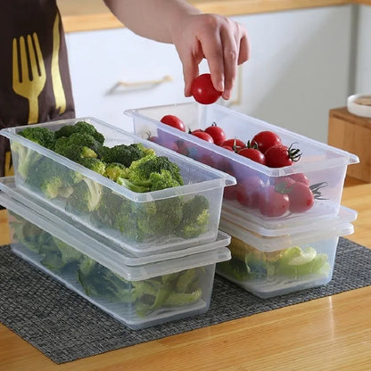 Plastic Food Containers with Removable Drain Plate and Lid Portable Stackable Kitchen Freezer Containers Fruit Tray