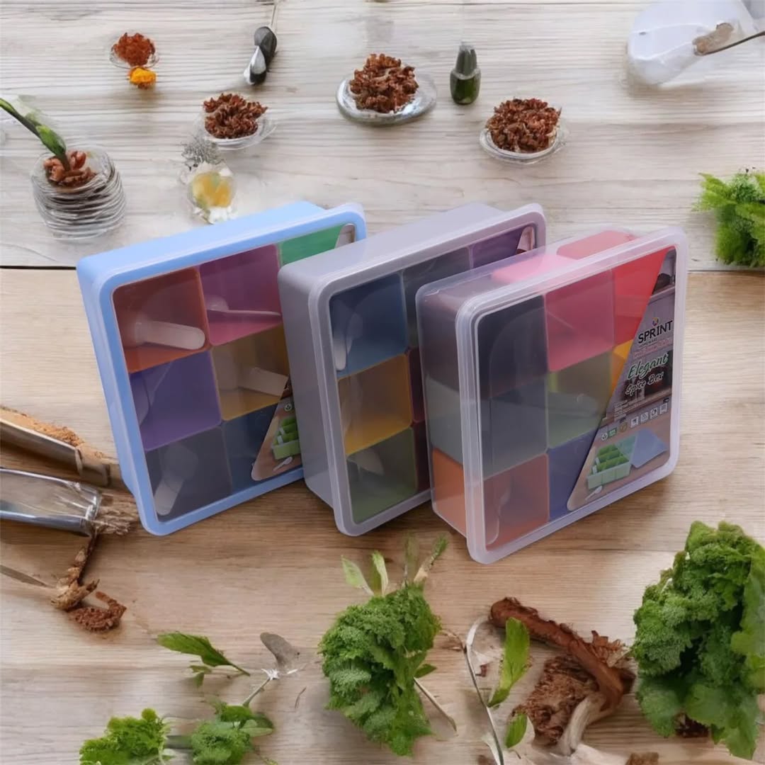 9 in 1 Multi Masala Box With Spoons