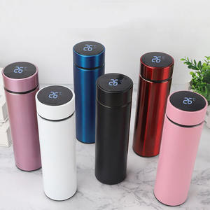 Stainless Steel Temperature Bottle (500ml)