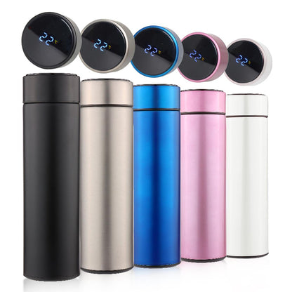Stainless Steel Temperature Bottle (500ml)