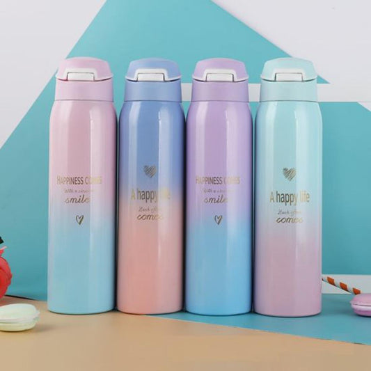 Stainless Steel Water Bottle