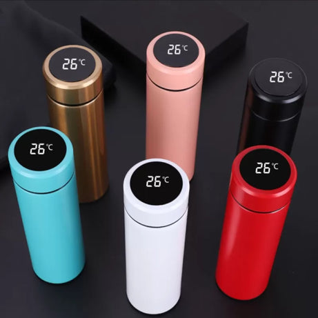 Stainless Steel Temperature Bottle (500ml)